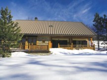 Chalet Asters 